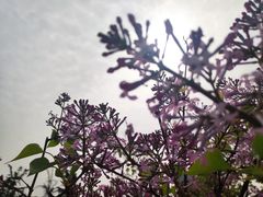 -唐山抗震纪念碑广场