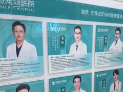 -瑞派中心宠物医院·CT·核磁·神经专科