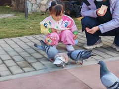 -太阳岛度假酒店