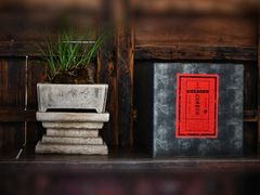 -月栖华明-云间草堂清茶馆(泗泾古镇店)