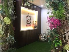 -Husky Go! 哈士奇体验馆·宠物咖啡厅狗咖