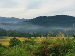 -塔川景区