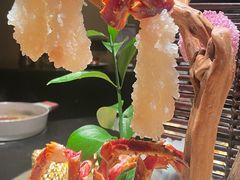 活帝王蟹熟刺身-蟹犇前•帝王蟹雪蟹(陆家嘴店)