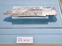 -安阳博物馆