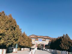 -府君山公园