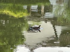 -绮园景区