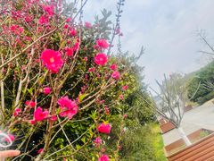 -白马涧龙池景区