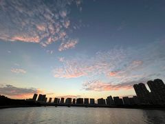 -五缘湾湿地公园