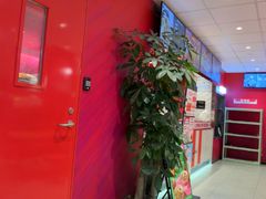 -野人先生现做冰淇淋(北京环宇荟店)
