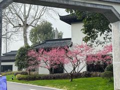 -杭州西湖柳莺里酒店