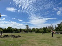 -上海长兴岛郊野公园