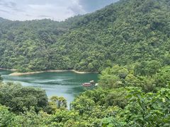 -鼎湖山风景区