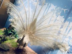 -陕西自然博物馆