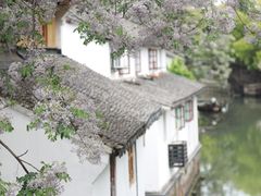 -金泽古镇