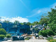 -上海吴淞炮台湾国家湿地公园