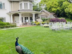 -J Create城市露营咖啡·简餐·宠物(上海动物园店)