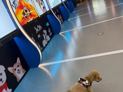 -万达影城(汉街万达广场IMAX店)