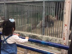 -祥源·阜阳生态乐园