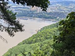 -铁山坪森林公园