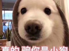 -1点点(望京SOHO店)