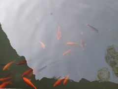 -灵栖洞天
