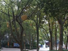 -天目湖山水园