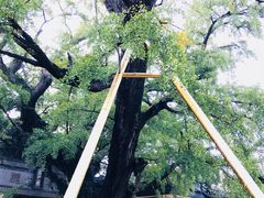 -无锡惠山寺