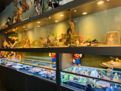 -周忆刺青原创设计定制