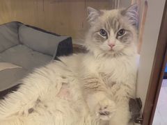 -老炮儿轰趴团建KTV桌游棋牌主题馆(五道口店（底商店))