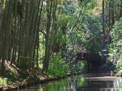 -同里国家湿地公园