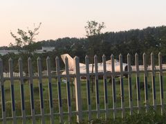 -金岛生态园烧烤露营地