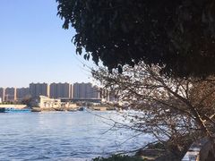 -运河游船(武林门码头)