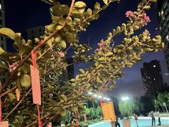 -仁恒西郊花园