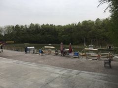 -上海海湾国家森林公园