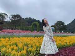 -广州市石门国家森林公园