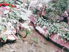 -九尊食上(生态园林酒店)