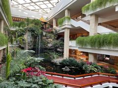 -广州白天鹅宾馆