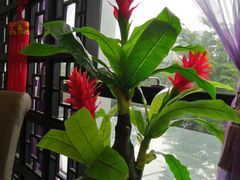 -海港城购物中心