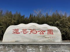 -莲花池公园