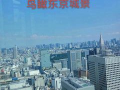 -东京都厅舍