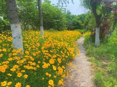 -合肥三国新城遗址公园