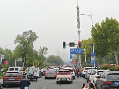 -合肥野生动物园