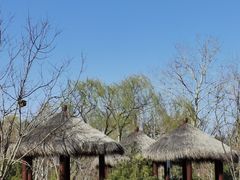 -莲花池公园