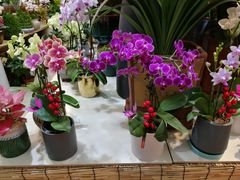 -双季花艺园艺市场(浦东店)