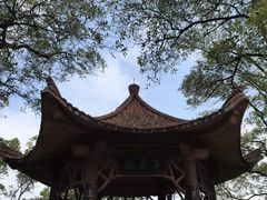-大屏嶂森林公园