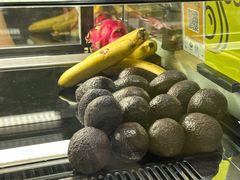 -油梨树 AVOCADO TREE(亮马桥店)