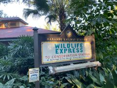 -奥兰多迪士尼动物王国乐园