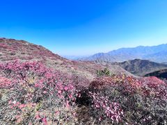 -水峪民俗村