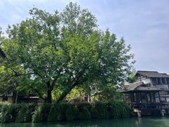 -乌镇西栅景区