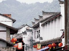 -后柳水乡